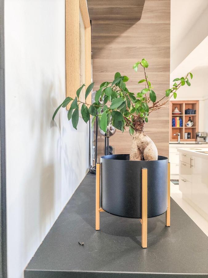 Apartament Escapade Culturelle Havraise Hawr Zewnętrze zdjęcie